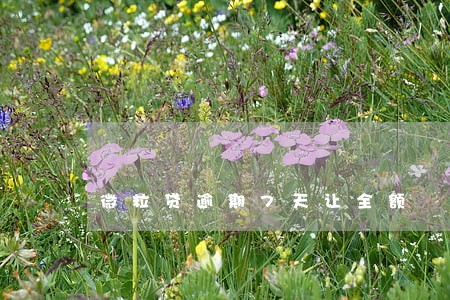 微粒贷逾期7天让全额 微粒贷逾期7天让全额