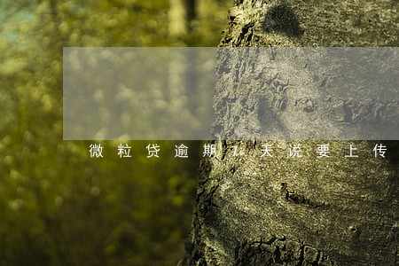 微粒贷逾期7天说要上传征信 微粒贷逾期7天说要上传征信