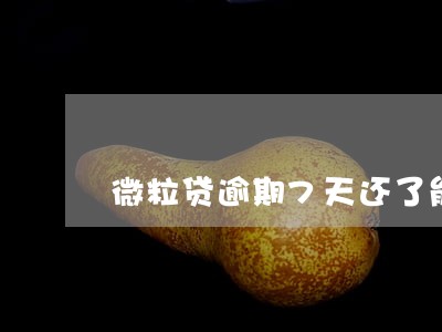 微粒贷逾期7天还了能借么 微粒贷逾期7天还了能借么