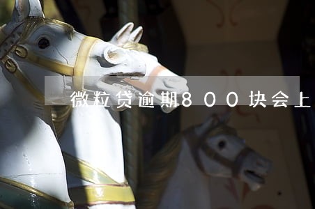 微粒贷逾期800块会上门吗 微粒贷逾期800块会上门吗