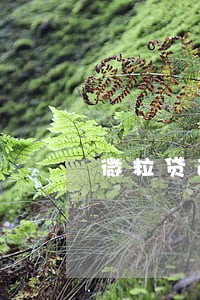 微粒贷逾期85天怎么协商 微粒贷逾期85天怎么协商