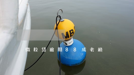 微粒贷逾期88成老赖 微粒贷逾期88成老赖