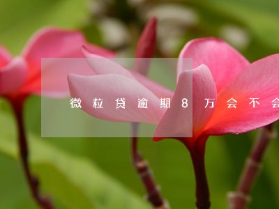 微粒贷逾期8万会不会上门 微粒贷逾期8万会不会上门