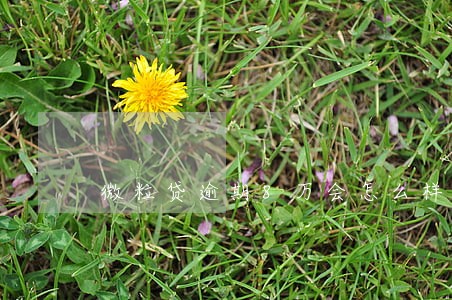 微粒贷逾期8万会怎么样 微粒贷逾期8万会怎么样