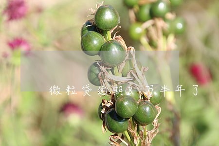 微粒贷逾期8万半年了 微粒贷逾期8万半年了