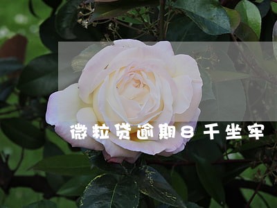 微粒贷逾期8千坐牢 微粒贷逾期8千坐牢