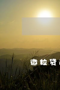 微粒贷逾期8天后还款还能用吗