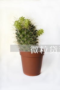 微粒贷逾期8天被要求全额还款 微粒贷逾期8天被要求全额还款