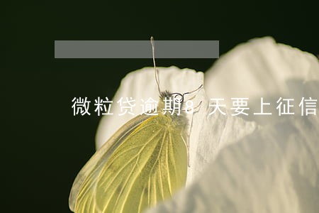 微粒贷逾期8天要上征信吗