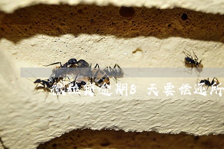 微粒贷逾期8天要偿还所有的吗 微粒贷逾期8天要偿还所有的吗