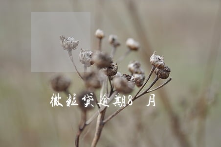 微粒贷逾期8月 微粒贷逾期8月