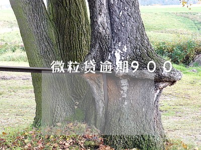 微粒贷逾期900