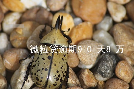 微粒贷逾期90天8万 微粒贷逾期90天8万