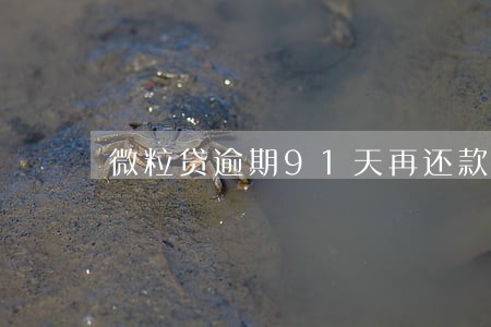 微粒贷逾期91天再还款会怎样 微粒贷逾期91天再还款会怎样