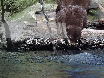 微粒贷逾期95天全款
