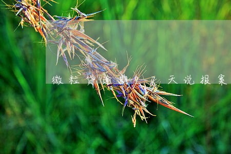 微粒贷逾期97天说报案
