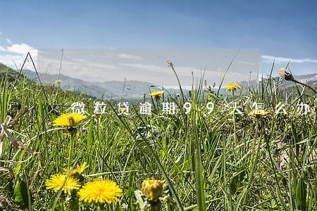 微粒贷逾期99天怎么办 微粒贷逾期99天怎么办