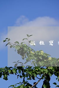 微粒贷逾期9天会影响信誉吗 微粒贷逾期9天会影响信誉吗