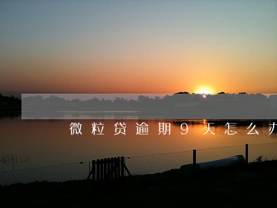 微粒贷逾期9天怎么办 微粒贷逾期9天怎么办