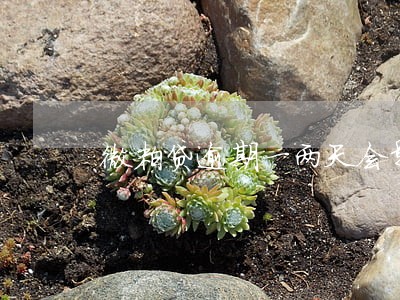 微粒贷逾期一两天会影响信用吗 微粒贷逾期一两天会影响信用吗