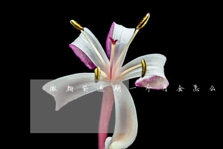 微粒贷逾期一个月会怎么样6 微粒贷逾期一个月会怎么样6