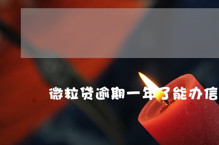 微粒贷逾期一年了能办信用卡吗 微粒贷逾期一年了能办信用卡吗