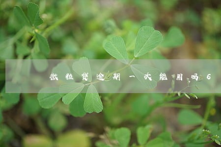 微粒贷逾期一次能用吗6 微粒贷逾期一次能用吗6