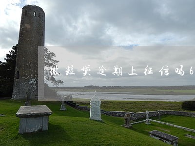 微粒贷逾期上征信吗6