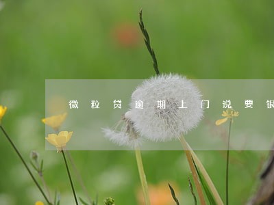 微粒贷逾期上门说要银行流水 微粒贷逾期上门说要银行流水