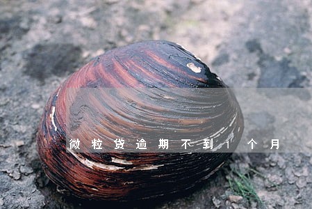 微粒贷逾期不到1个月 微粒贷逾期不到1个月