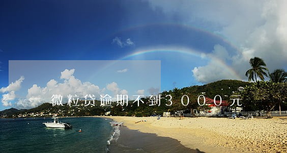 微粒贷逾期不到3000元 微粒贷逾期不到3000元