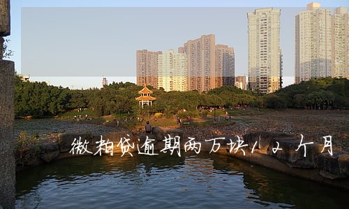 微粒贷逾期两万块12个月 微粒贷逾期两万块12个月