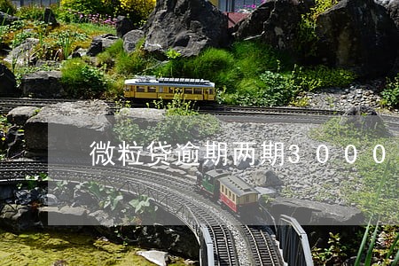 微粒贷逾期两期3000多 微粒贷逾期两期3000多