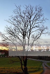 微粒贷逾期了1000 微粒贷逾期了1000