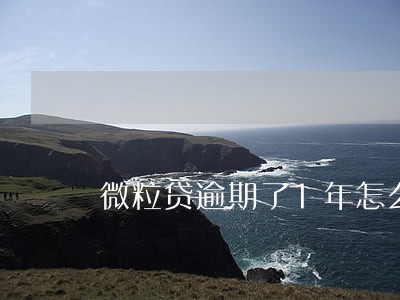 微粒贷逾期了1年怎么办 微粒贷逾期了1年怎么办