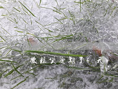 微粒贷逾期了4天 微粒贷逾期了4天