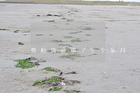 微粒贷逾期了5个多月 微粒贷逾期了5个多月
