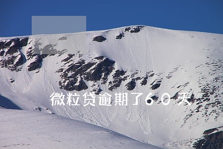 微粒贷逾期了60天 微粒贷逾期了60天