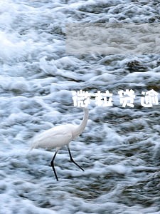 微粒贷逾期了还可以办信用卡吗 微粒贷逾期了还可以办信用卡吗