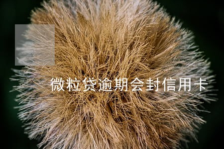 微粒贷逾期会封信用卡 微粒贷逾期会封信用卡