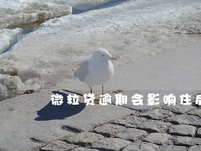 微粒贷逾期会影响住房贷款吗 微粒贷逾期会影响住房贷款吗