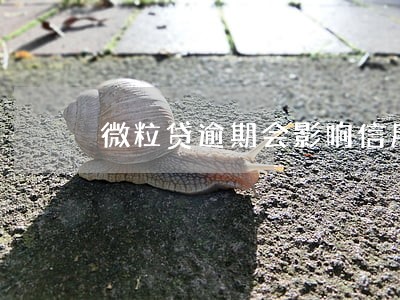 微粒贷逾期会影响信用额度么 微粒贷逾期会影响信用额度么
