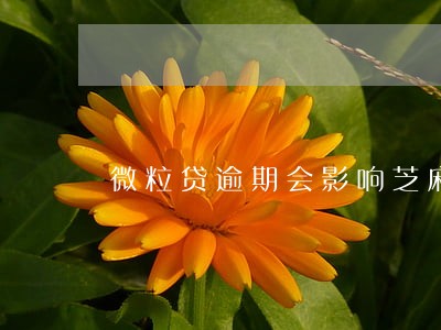 微粒贷逾期会影响芝麻信用分 微粒贷逾期会影响芝麻信用分