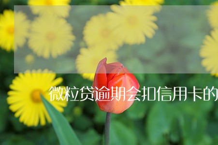 微粒贷逾期会扣信用卡的钱吗 微粒贷逾期会扣信用卡的钱吗
