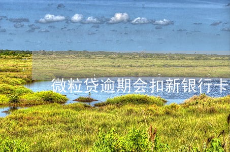 微粒贷逾期会扣新银行卡 微粒贷逾期会扣新银行卡