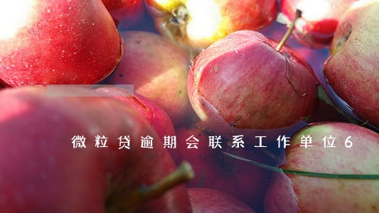 微粒贷逾期会联系工作单位6 微粒贷逾期会联系工作单位6