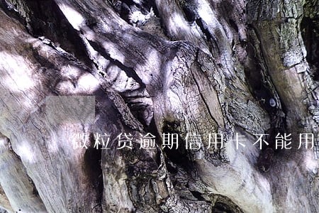 微粒贷逾期信用卡不能用