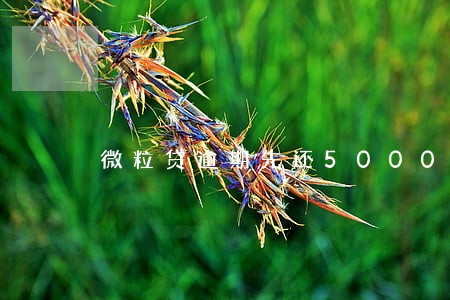 微粒贷逾期先还5000 微粒贷逾期先还5000