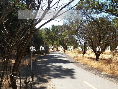 微粒贷逾期冻结信用卡 微粒贷逾期冻结信用卡
