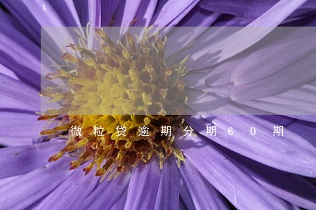 微粒贷逾期分期60期 微粒贷逾期分期60期